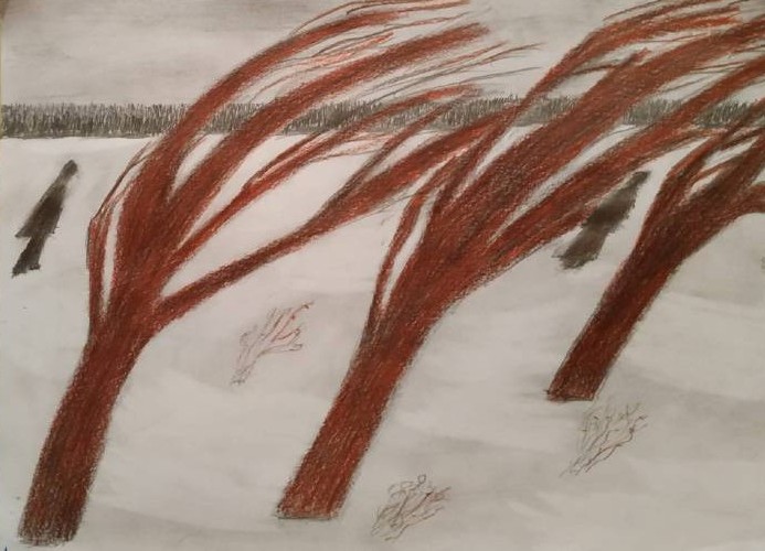 700ь500 Lilya-C.w1.jpg-trees-730x