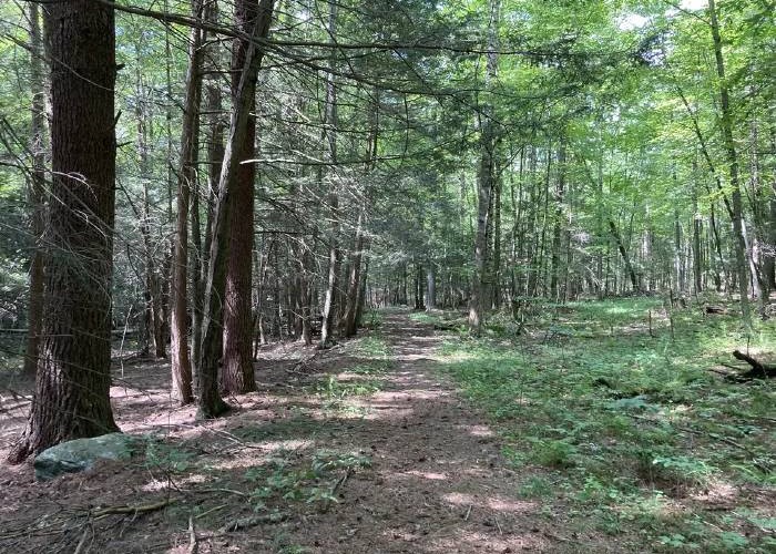 pfeiffer-arboretum-at-long-pond-great-barrington-ma