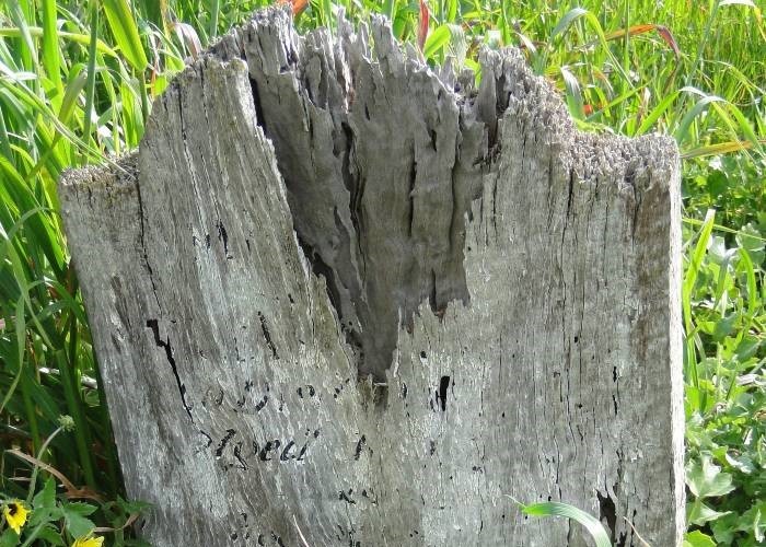 1. Wooden_headstone_Avoca (1)