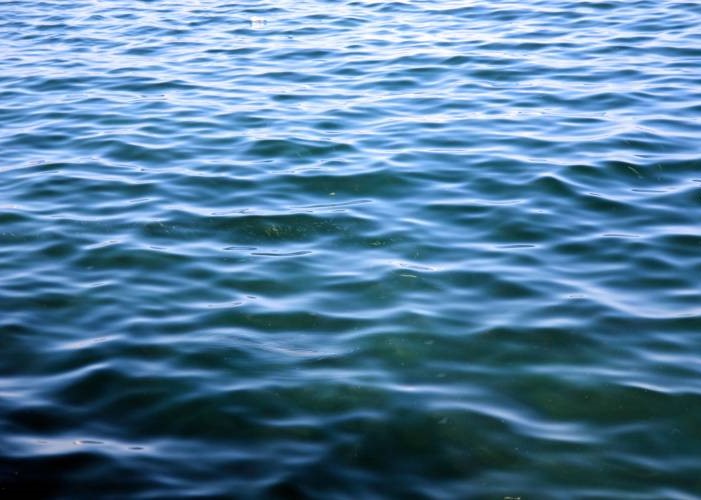 Blue-green-sea-surface-background-with-fishes-full-frame-composition-DWGX61